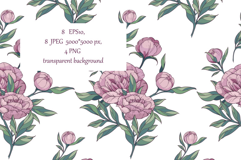 vector-peonies-8-floral-seamless-patterns