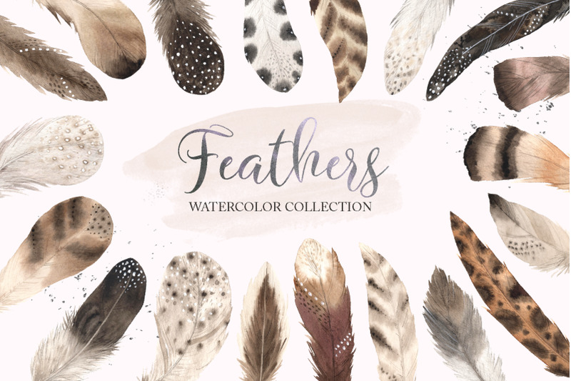 watercolor-delicate-feathers-set