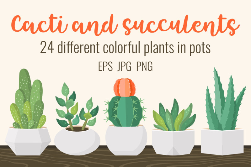 cacti-and-succulents-in-pots