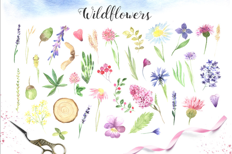 watercolor-wildflowers-set