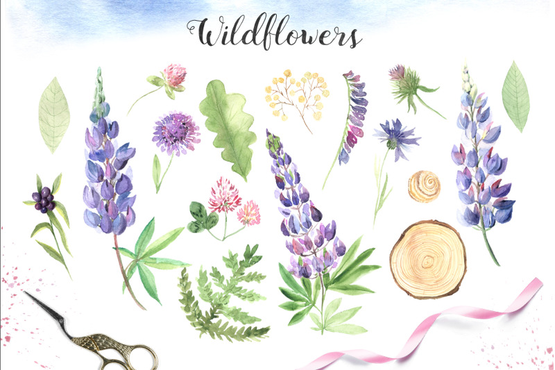 watercolor-wildflowers-set