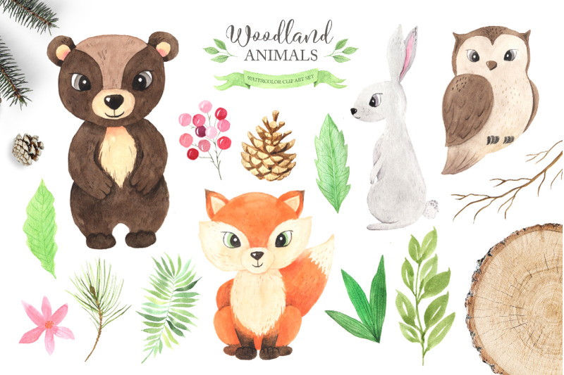 watercolor-woodland-animals-set