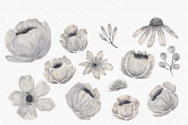 gray-and-pink-blooming-watercolour-clipart-collection