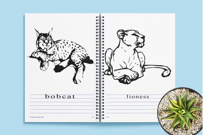 wild-cat-family-vector-illustration