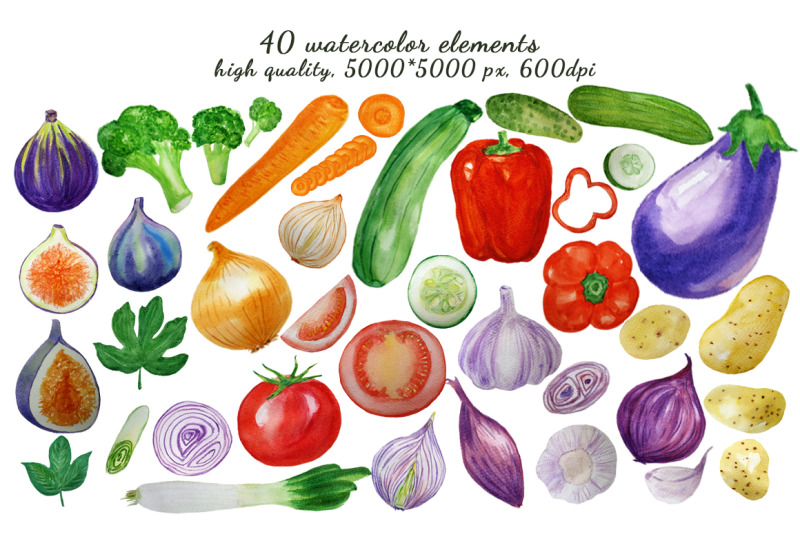 Watercolor vegetables By Svitlana Yanyeva | TheHungryJPEG