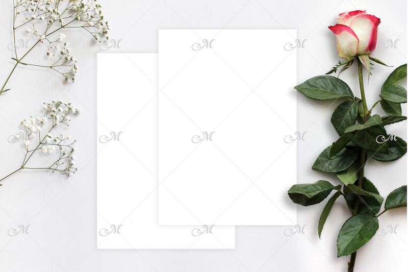 red-white-rose-and-paper-mock-up