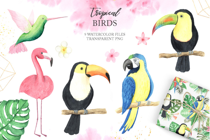 watercolor-tropical-birds-set