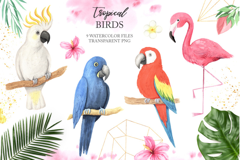 watercolor-tropical-birds-set