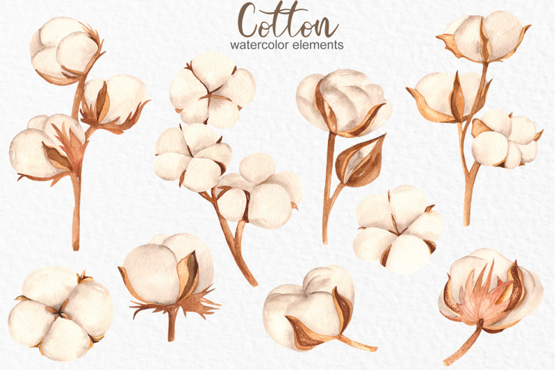 cotton-watercolor-collection-clipart-frames-wreaths-patterns