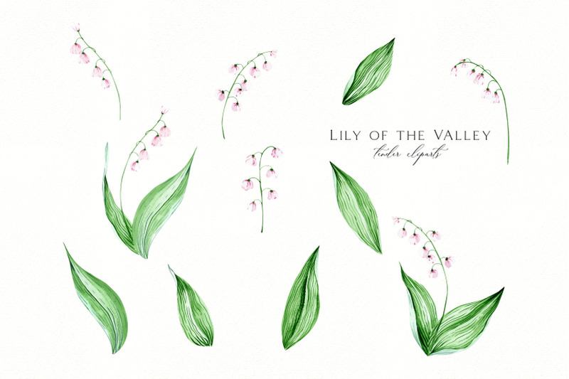 watercolor-lily-of-the-valley-wedding-clip-art-meadow-floral-clipart