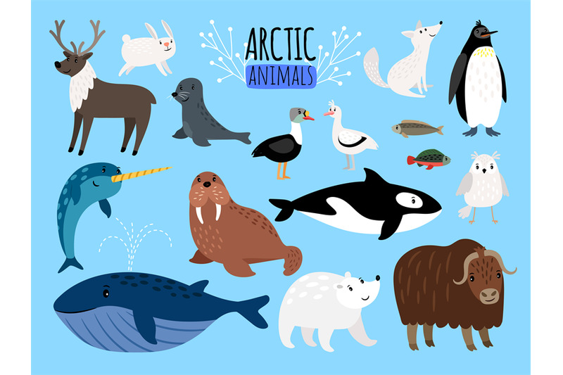 arctic-animals-cute-animal-set-of-arctic-or-alaska-vector-illustratio