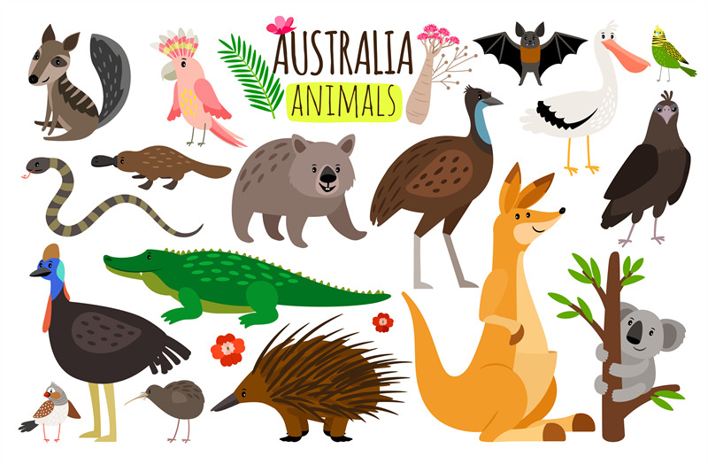 australian-animals-vector-animal-icons-of-australia-kangaroo-and-koa