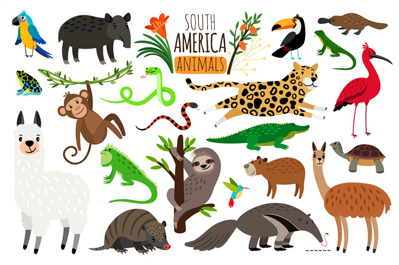 south-america-animals-vector-cartoon-guanaco-and-iguana-anteater-and