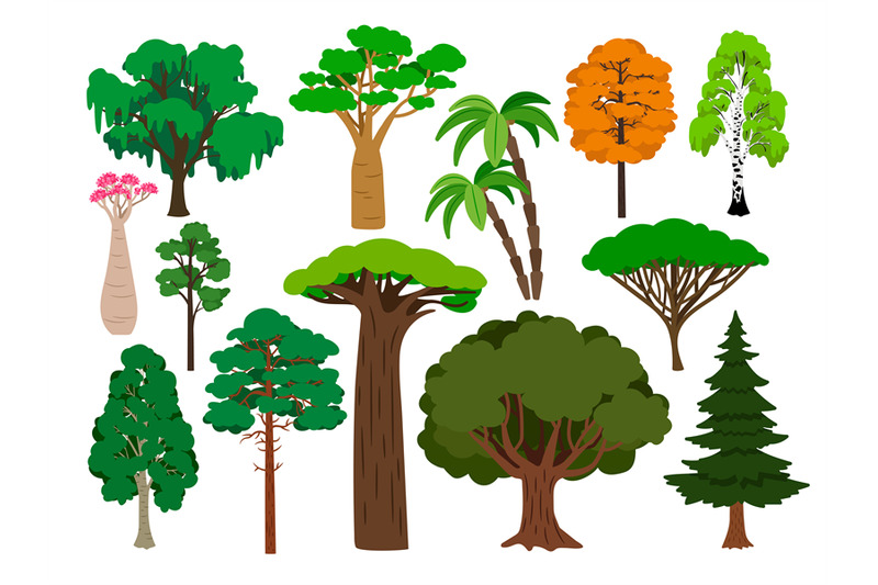 cartoon-trees-vector-green-tree-set-brachychiton-and-rowan-palm-and