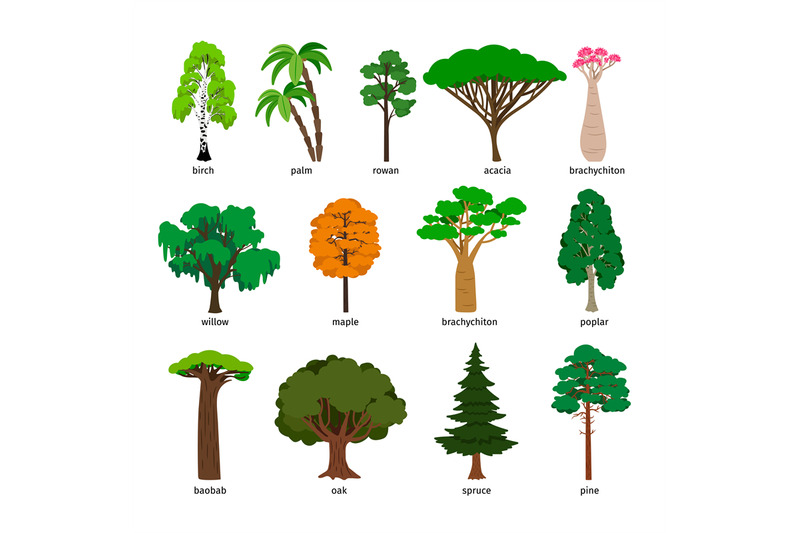 vector-trees-forest-tree-set-with-titles-birch-and-oak-pine-and-bao