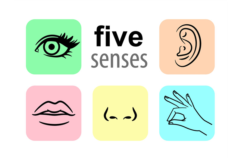 senses-icons-five-human-illustrative-senses-vector-illustration-tast