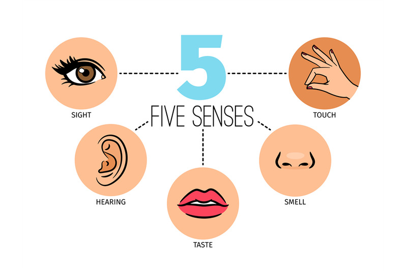 five-human-feelings-mouth-or-lips-hand-and-nose-eye-and-ear-icons
