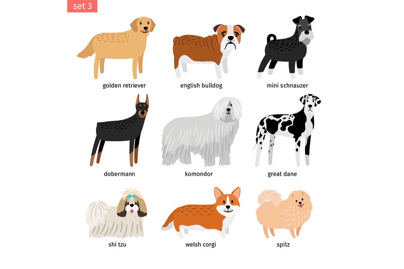 dog-breeds-vectors-dogs-breeding-collection-isolated-on-white-backgro