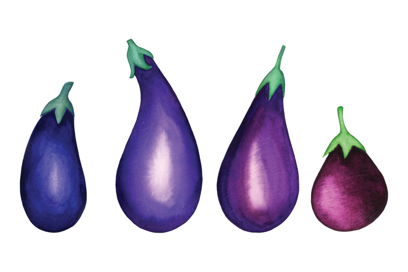 watercolor-eggplants