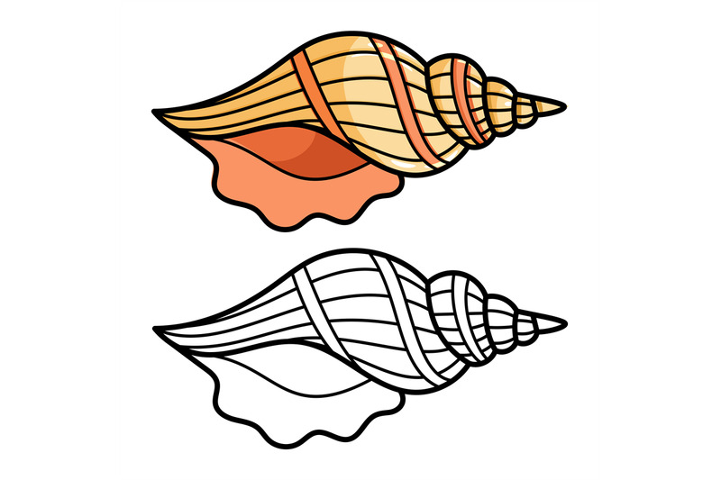 cartoon-sea-shell-isolated-on-white