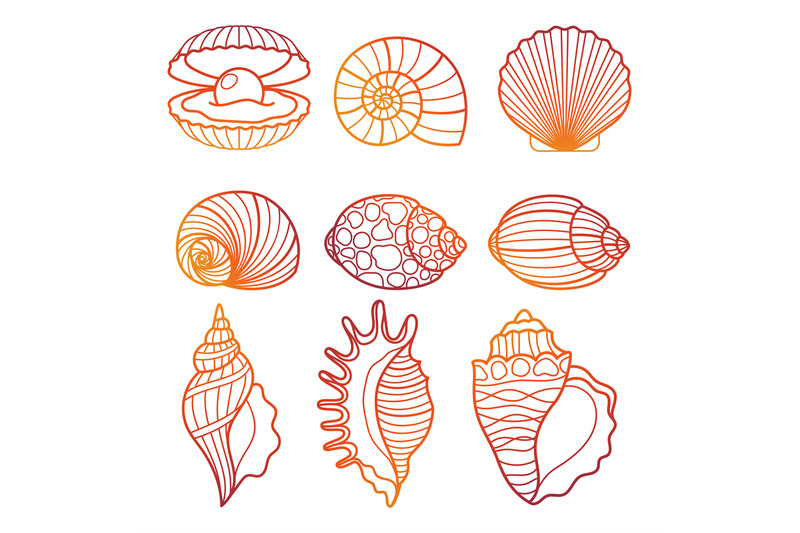 seashells-colorful-outline-seashell-set-vector-illustration