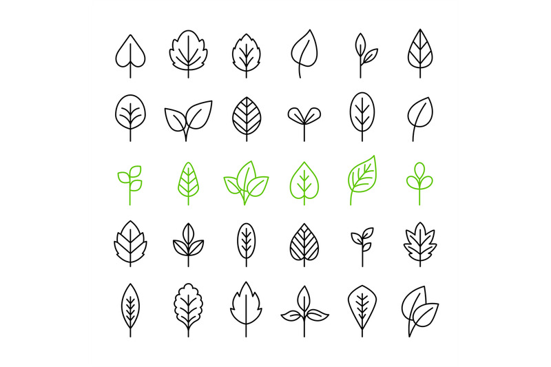 outline-leaves-isolated-icon-set