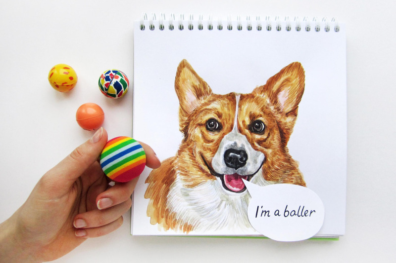 welsh-corgi-pembroke-watercolor-dogs-illustrations-10-dogs