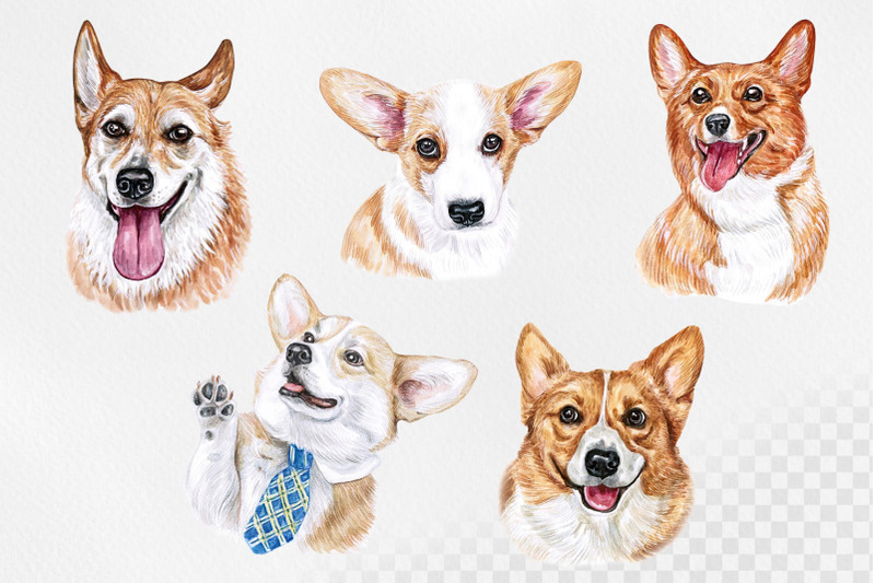 welsh-corgi-pembroke-watercolor-dogs-illustrations-10-dogs