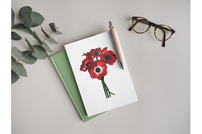 watercolor-botanical-illustration-red-anemones-wall-art