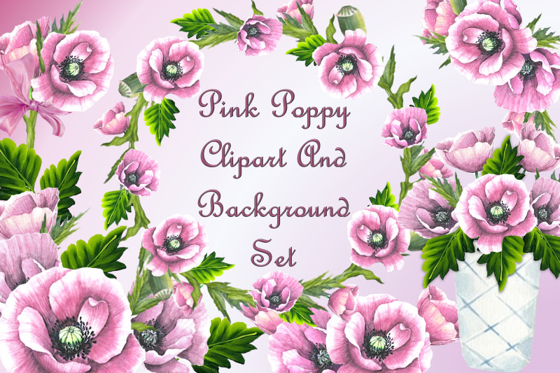 pink-poppy-clipart-set-with-free-backgrounds-cu