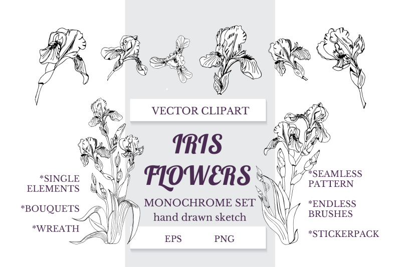 hand-drawn-ink-sketch-of-iris-flowers-vector-elements