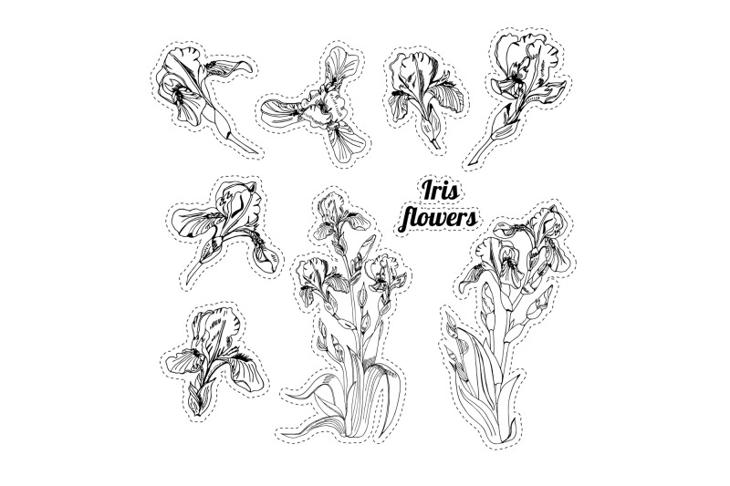 hand-drawn-ink-sketch-of-iris-flowers-vector-elements