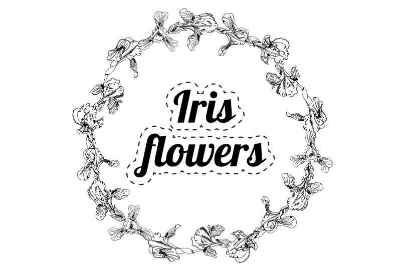 hand-drawn-ink-sketch-of-iris-flowers-vector-elements