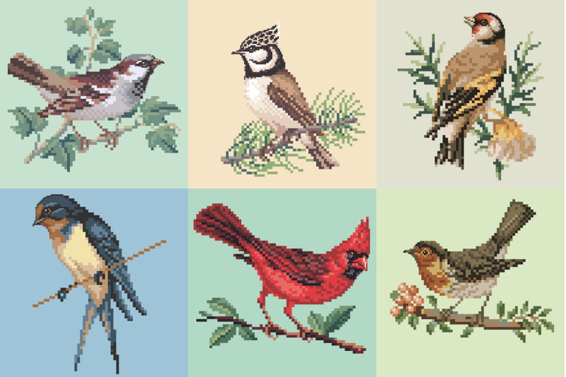 birds-pixel-illustrations