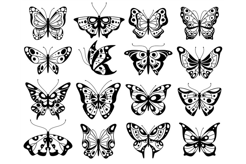 butterfly-stylized-exotic-butterflies-silhouettes-with-openwork-wings