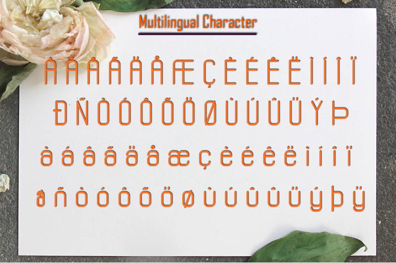 shofar-modern-sans-typeface