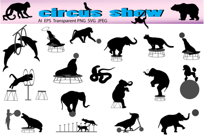 circus-show