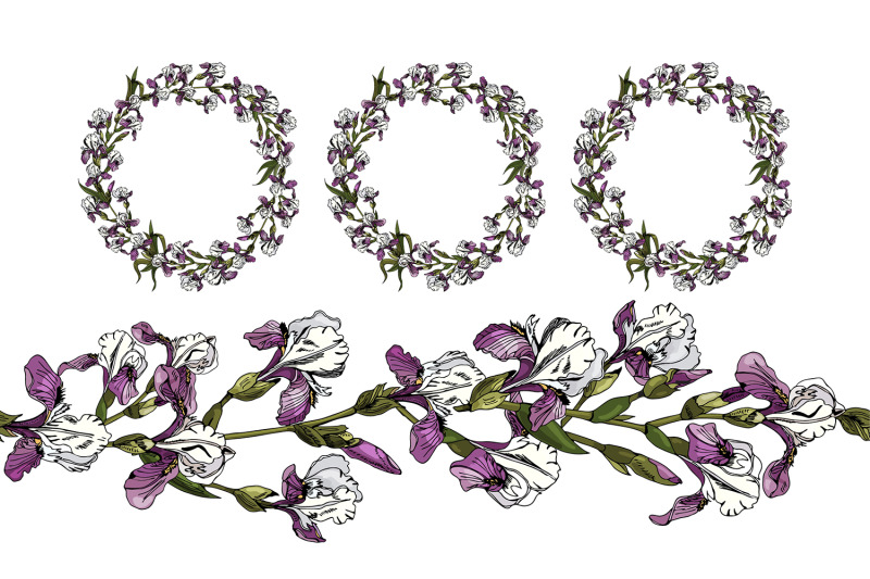 hand-drawn-ink-sketch-of-iris-flowers-color-vector-elements