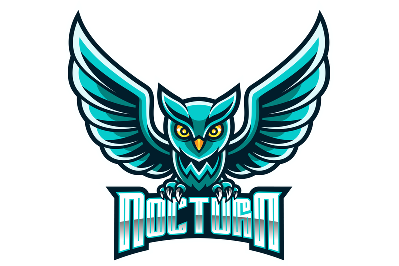 nocturnal-bird-owl-mascot-logo-design