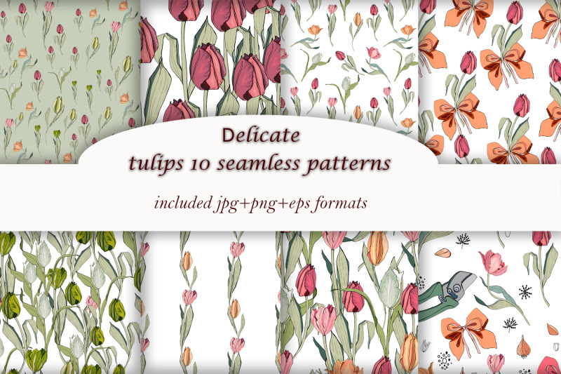 delicate-tulips