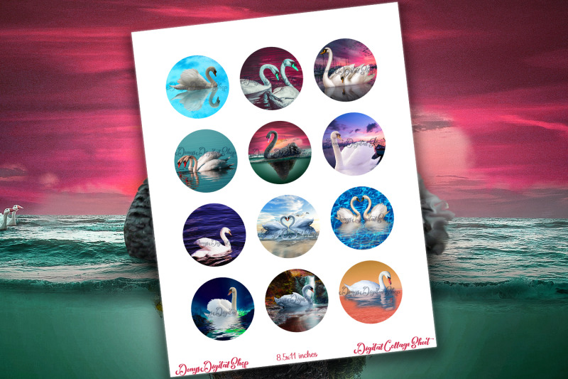 swan-digital-collage-sheet-swans-images