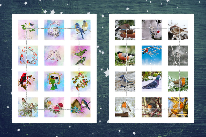 digital-collage-sheets-birds-printable