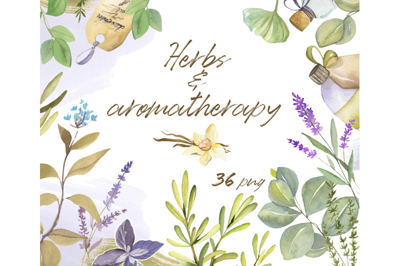 watercolor-set-of-herbs-and-aromatherapy-elements-hand-drawn-collecti