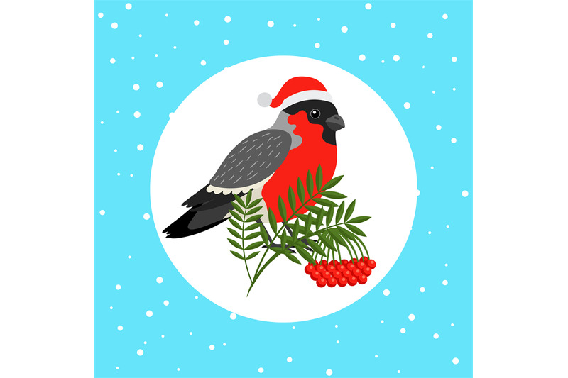 bullfinch-bird-with-santa-hat