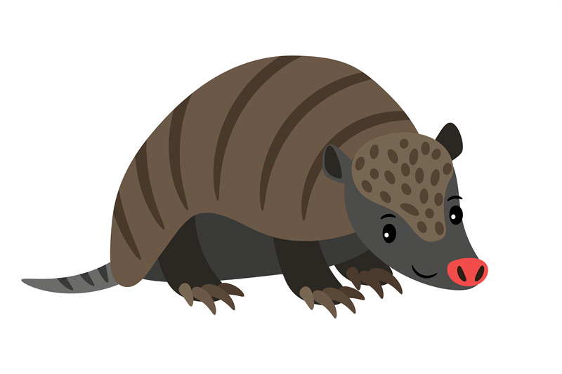 armadillo-cartoon-animal-icon