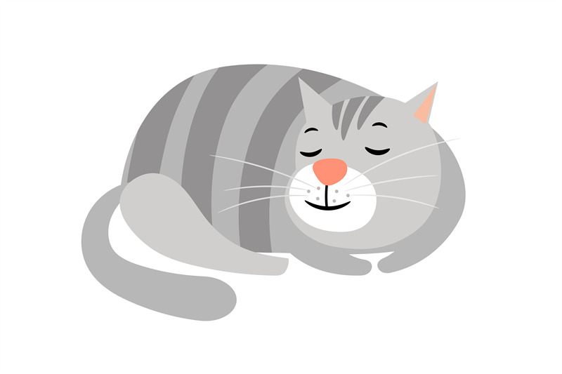 cute-cat-domestic-gray-striped-cat-animal-isolated-on-white-kitten-v