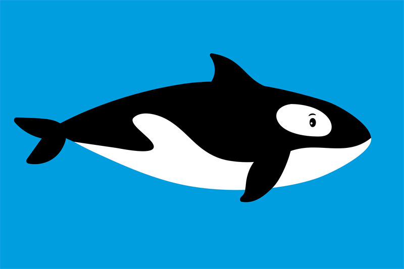 killer-whale-sea-animal-icon