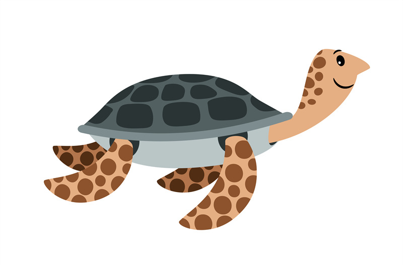 sea-turtle-cute-cartoon-animal