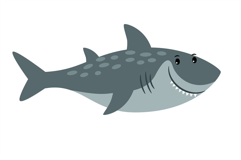 shark-sea-animal-cartoon-icon