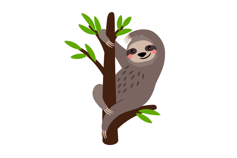 sloth-cute-vector-sloth-bear-animal-character-on-tree-branch-isolated